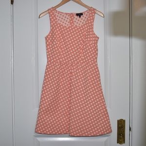 The Limited Summer Cocktail Dress